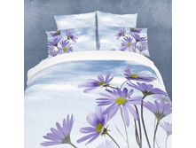 FX Chicory EURO   54822.gif