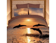 FX Delfini EURO   54828.gif