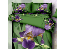 FX Iris DOUBLE   51554.gif