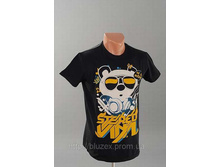 �������� ������� 12070  - 250 ���