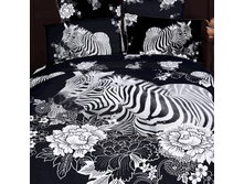 FX Zebra EURO   44813.gif