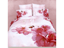 FX Mindal EURO   55665.gif