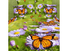 FX Nectar EURO   55661.gif