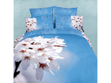 FX Negnost EURO  54848.gif