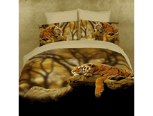 FX Savannah EURO   55673.gif