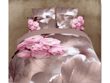 FX Utro EURO   51551.gif