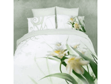 FX White Narcissus EURO   53318.gif