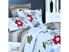 46229   EH Derby EURO.gif