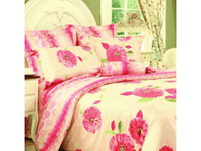 46235   EH Liverpool EURO.gif