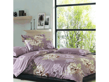 47690   EH Twilights EURO YDN107.gif