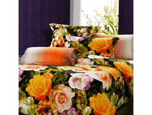 47693   EH OrangeMood EURO YDN118.gif