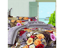 47695   EH Plenty EURO YDN132.gif