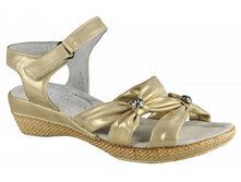 ��������� DY1036-30 gold ( �. 31-36) ���� 540 ���