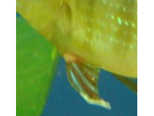 28.07.2009 21:28:55