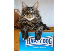 7 ���. 1 ���.