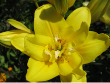 \"���� ������\"