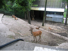 29.07.2009 15:26:51