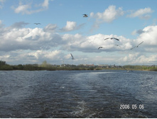 ������ �������� (38).JPG