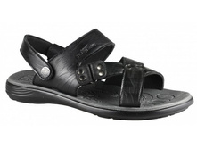 ������� C06008-01 black ( �. 35-40) ���� 520 ���