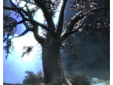 ��������� �����2