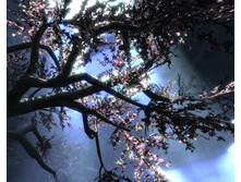 ��������� �����3