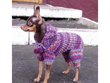 ������� ������ ��������������