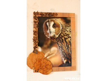 ���� - �� ��, ��� ������� - �������!