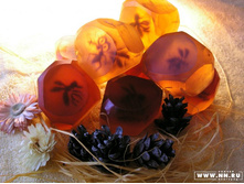 ���� ������ ������ - �������!