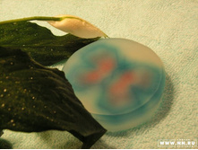 ���� \"������� �������\" - �������!