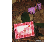 ��������� \"� �������\" - �������!