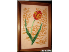 ������� \\