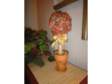 ����-�������