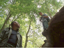 � �������