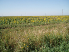 ������������� ����!!!