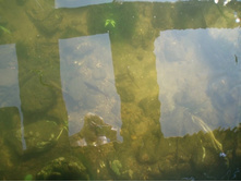 � ���� � ����� - ����� �����!)