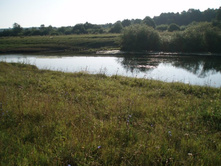 ����� �������