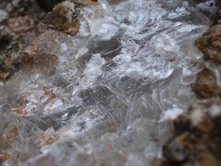 �����, ������