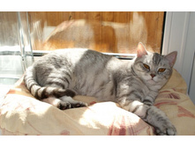 ��� ������ � ���� ��������� :-)