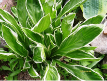 ����� 8.JPG