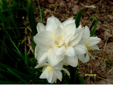 ������� ��������������.JPG