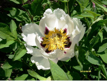 ���� ����..JPG