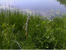 ������ 3 ��� 2009