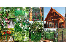 ����������  �����, ��ۣ���