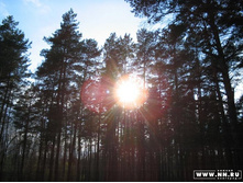 ������������ ������