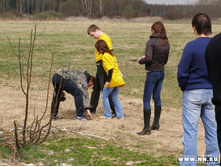 �� �����