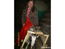 ������� 2