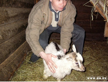 ������� 3