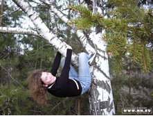 ������� 3