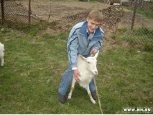 ������� 7