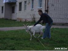 ������� 8